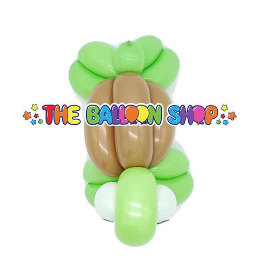 Turtle Balloon | Hokey Pokey Balloons