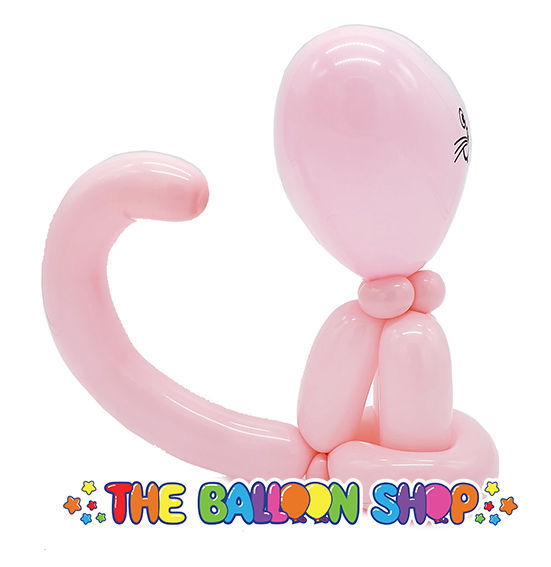 Picture of Cat  - Balloon