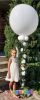 Picture of 3FT Giant Balloon with Rose Garland (helium-filled)