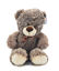 Picture of Teddy Bear - Plush Toy